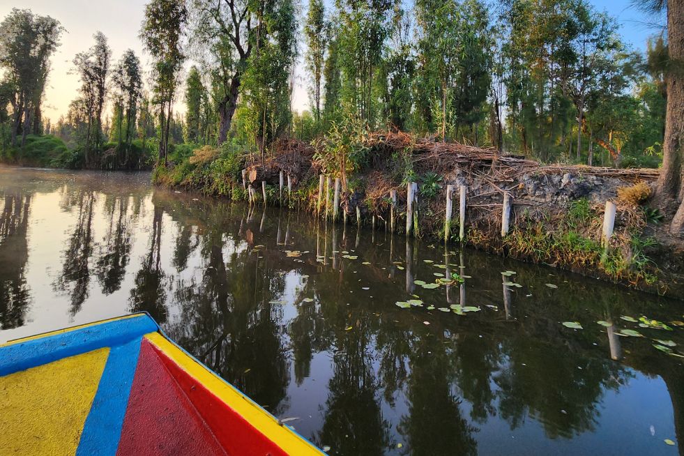 las trajineras xochimilco